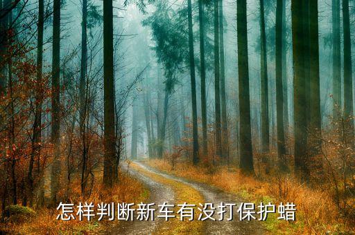 怎么看汽車有沒有內(nèi)飾打蠟，如何看得出車有沒有打過蠟...